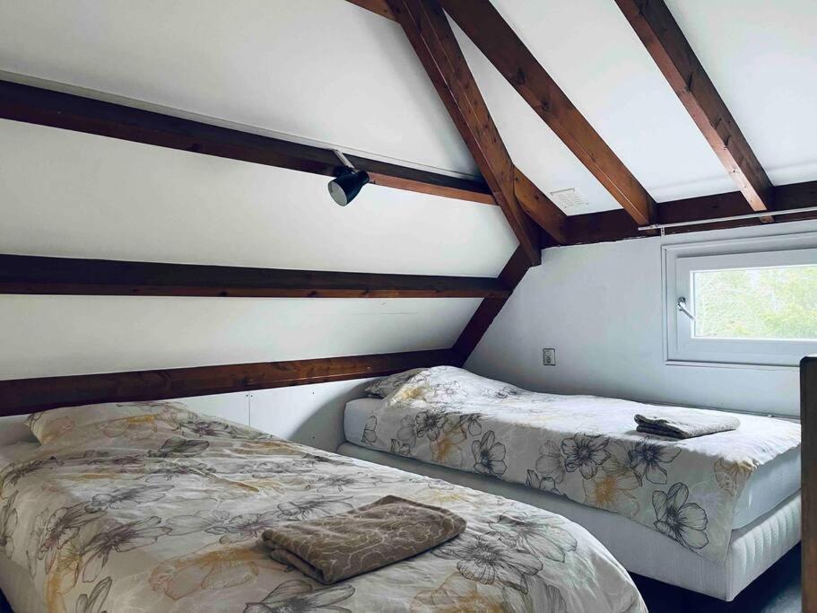 Opmeer Leuke Bungalow In Noord-Holland מראה חיצוני תמונה
